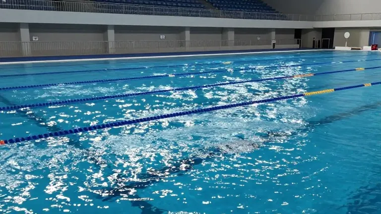 Illustration for: Huskies Beat Rams at Home Pool